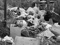 Энгельсский экопункт «Вторматик» расширил ассортимент принимаемого вторсырья