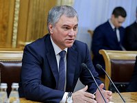 Вячеслав Володин принял участие в общественных слушаниях реализации второго этапа развития Парка покорителей космоса