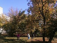 Сотрудники медсанчасти участвовали в месячнике по благоустройству территории