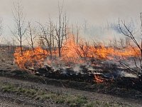 В Саратовской области начался сезон ландшафтных пожаров