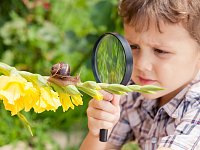 В России возрождают движение юннатов