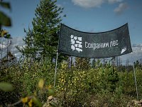 В Саратовской области высадят более 500 тысяч деревьев