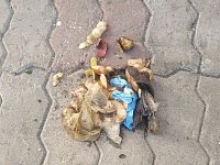 Бытовой мусор стал причиной очередного засора канализации