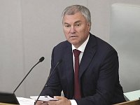 Вячеслав Володин предложил изучить ситуацию с обеспечением семей детсадами и продленкой в регионах