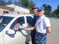 В Светлом прошло профилактическое мероприятие «Транспорт, дети — не игрушка!»