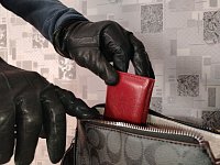 Тайное хищение чужого имущества признается преступлением практически во всех юрисдикциях