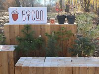 «СВ» побывали в трёх странах на двух континентах! И всё это – в центре Саратова!