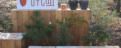 «СВ» побывали в трёх странах на двух континентах! И всё это – в центре Саратова!