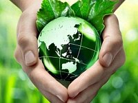 Светловских школьников ждут на олимпиаде по нацпроекту «Экология» 