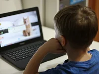 Что рассказать ребенку о бродячих собаках?