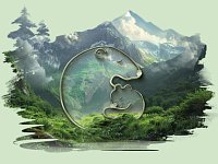 Заяви о себе в VI сезоне премии «Экология – дело каждого»