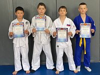 Очередные медали завоевали светловские спортсмены на соревнованиях Детской лиги дзюдо