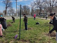 Сотрудники Дома детского творчества приняли участие в наведении порядка на территории Светлого