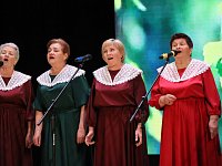 День соседей светловцы отметили в концертном зале Дома культуры на квартирнике у «Боярушек»