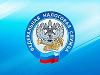 Уплата отдельных видов страховых взносов исключена из Единого налогового платежа