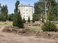 «Каскад» украсили красавицы ели