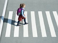 Стартовала онлайн-олимпиада «Безопасные дороги»