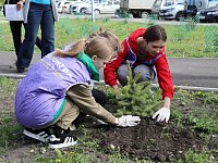 «Сад Памяти» появился в парке по улице Гагарина