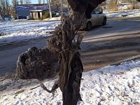 Сетловцев просят не выбрасывать мусор в канализацию – это может стать причиной засоров