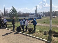 Школьники активно участвуют в наведении порядка