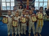 Наши дзюдоисты заняли призовые места в открытом турнире