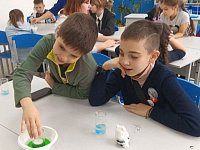 Юные исследователи наблюдали за волшебством химических реакций и физических явлений