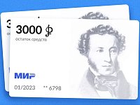 В  Саратовской области начала работать программа «Пушкинская карта»