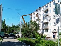 Продолжаются комплексные мероприятия по уходу за зелеными насаждениями 