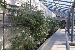 «СВ» побывали в трёх странах на двух континентах! И всё это – в центре Саратова!