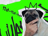 Что делать, если заблокировали Пушкинскую карту 