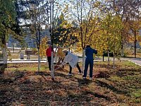 Сотрудники Детской школы искусств присоединились к месячнику по благоустройству