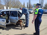 На территории Светлого прошли досмотровые мероприятия транспортных средств