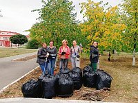  Сотрудники Детской школы искусств приняли участие в общеобластном субботнике