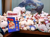 Почти 5 тысяч россиян приняли участие в акции «Игрушка ветерану»