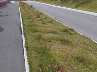 На территории спортшколы прошел субботник