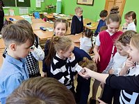 Учеников начальной школы пригласили на игру «Истории с эмоциями»