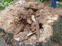 Опиловка – работа сложная и ответственная