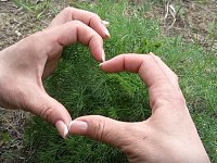 «Зеленый патруль» отметил Всемирный день первоцветов