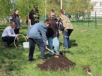 «Сохраним лес»: прими участие в озеленении региона